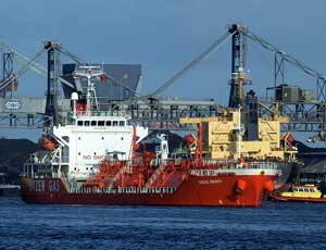 自动攻击网站工具下载